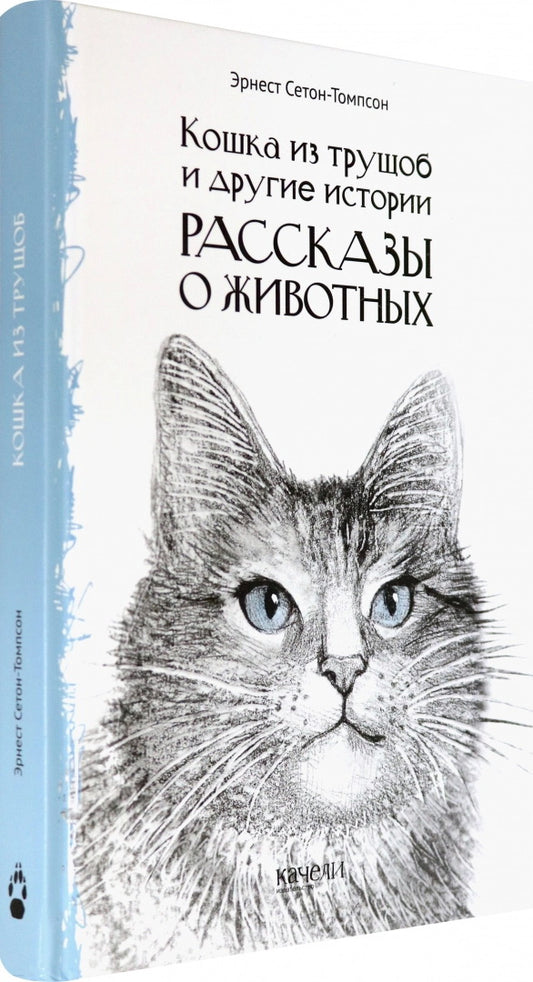 Кошка из трущоб и другие истории