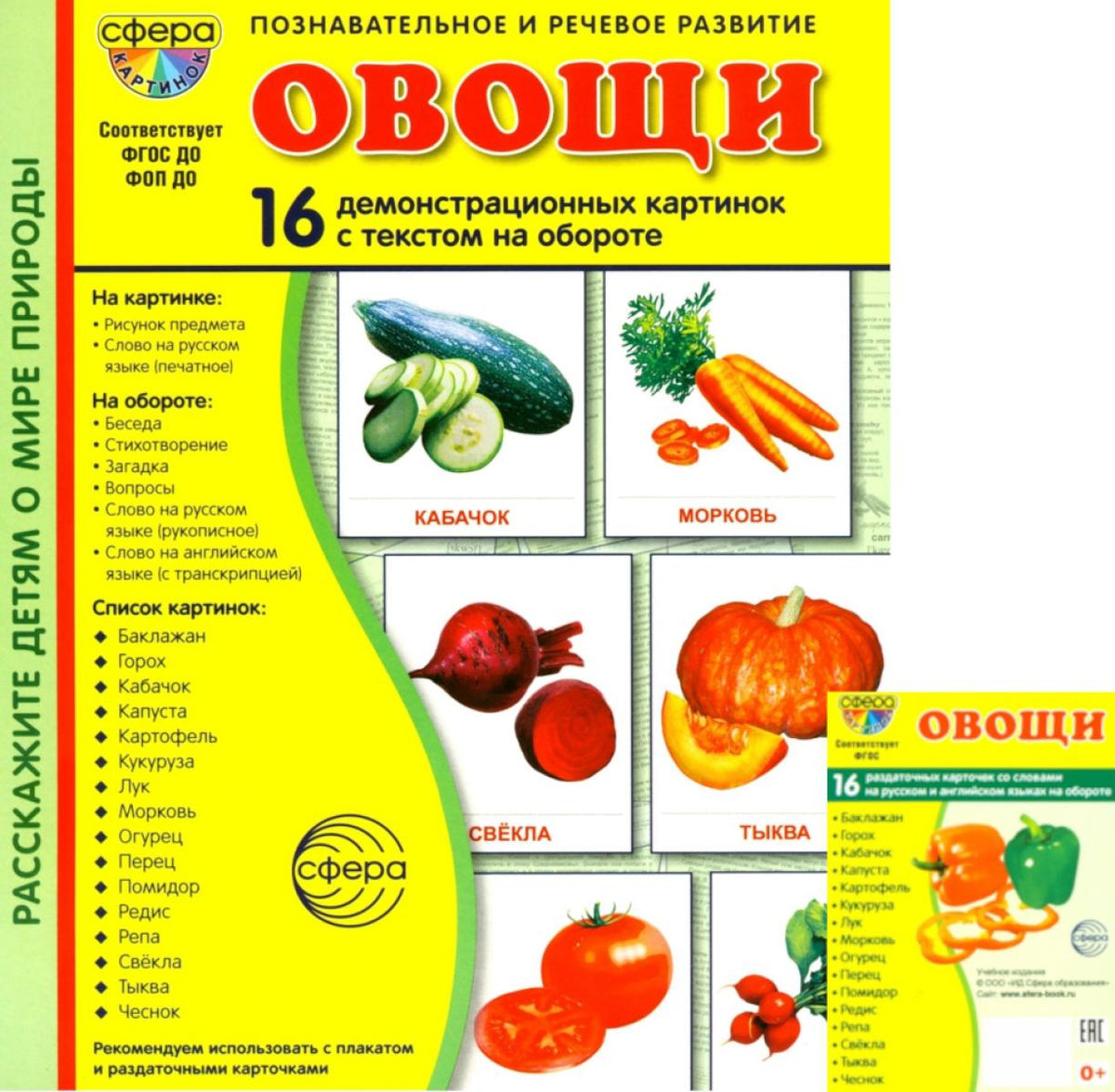 Овощи. Учебное издание. Демонстрационные картинки. Комплект из 2-х форматов: 173х220 и 63х87