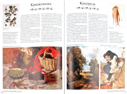 50.Самые вкусные овощи и фрукты