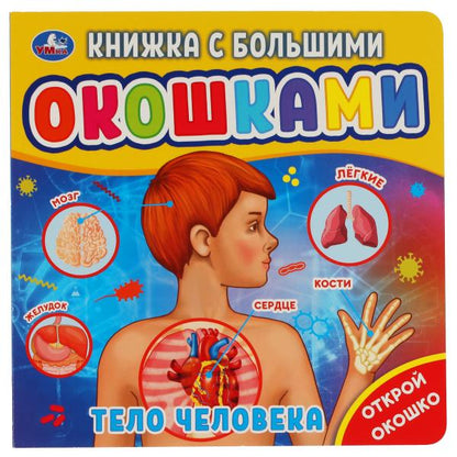 Умка. Тело человека (книжка с большими окошками) Формат: 190х190 мм. Объем: 10 стр.