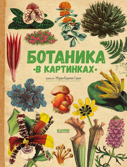 Удивительные энциклопедии. Ботаника в картинках/Сория К.