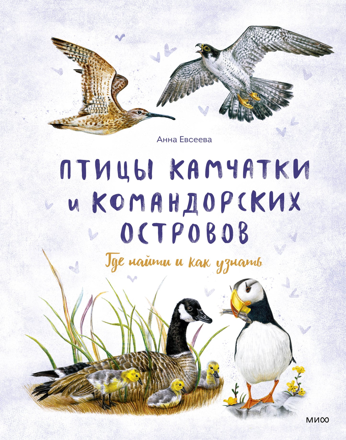 Птицы Камчатки