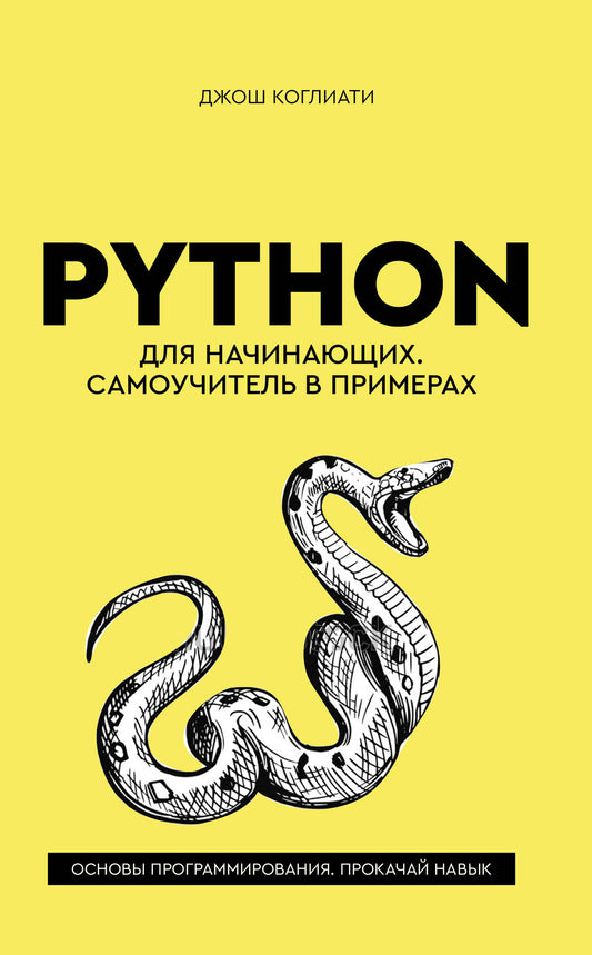 Python для начинающих. Самоучитель в примерах