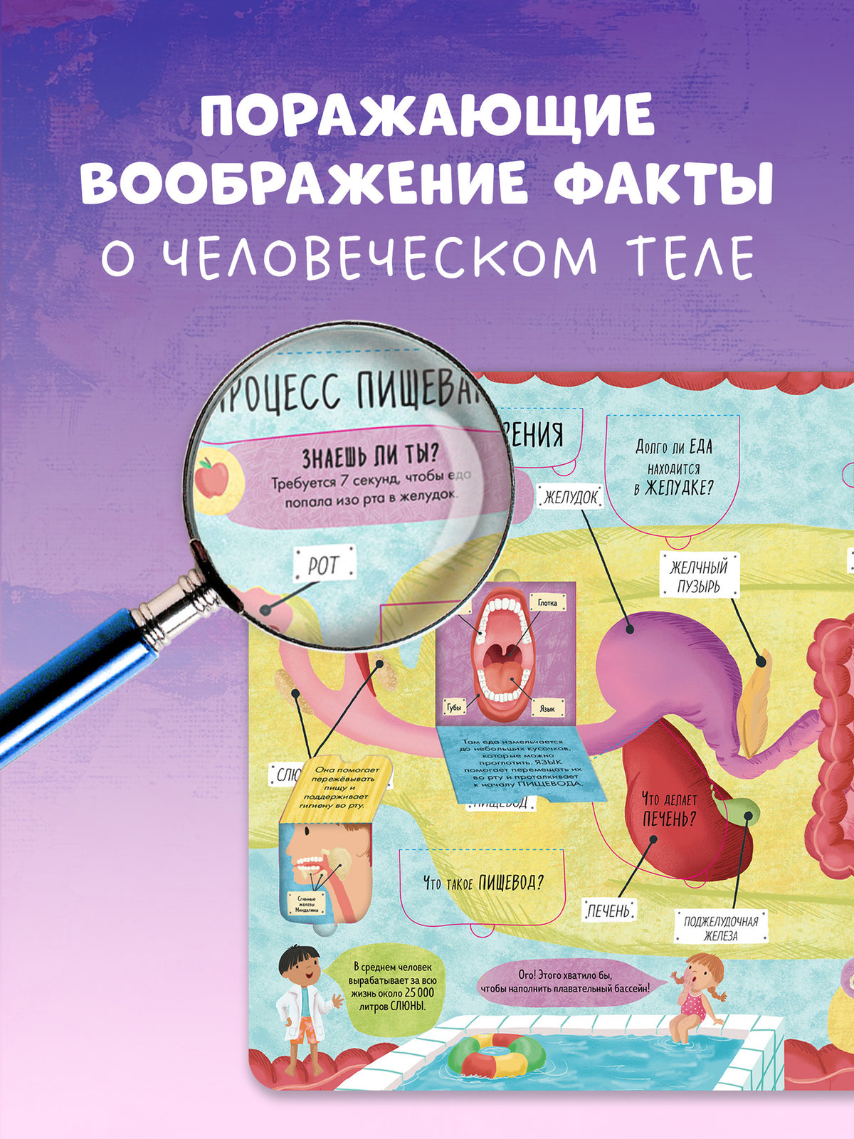 Книжка с окошками. Большая книга с окошками. Тело человека/Мосс Р.