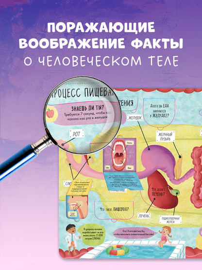 Книжка с окошками. Большая книга с окошками. Тело человека/Мосс Р.