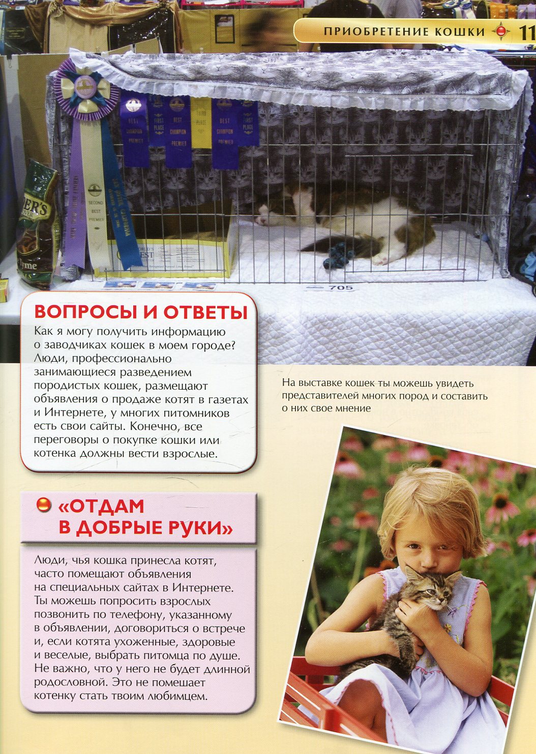 Кошки и котята. Детская энциклопедия