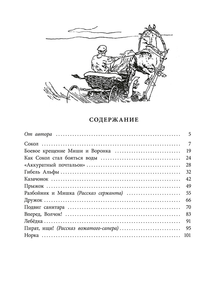 Рип.ВоенДетство.Пират,ищи!