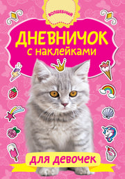 Дневничок с наклейками для девочки