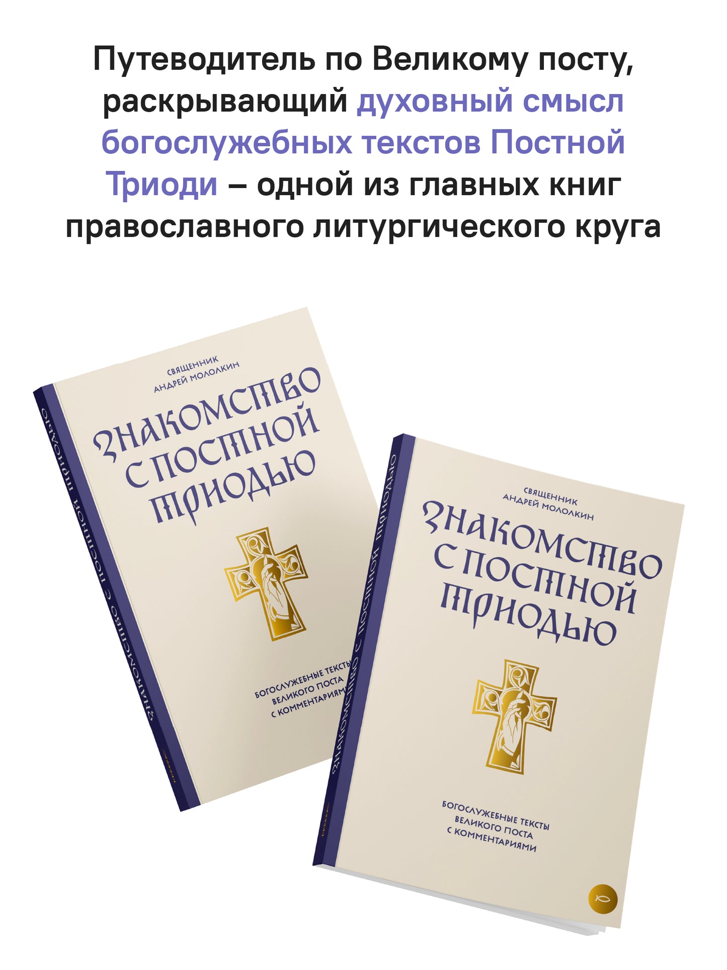Знакомство с Постной Триодью.Богослужебные тексты Великого поста с комментариями (12+)