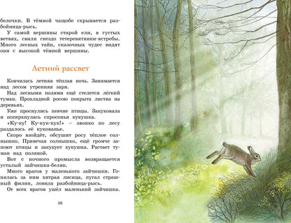 Год в лесу. Рассказы о природе