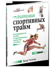 Анатомия спортивных травм