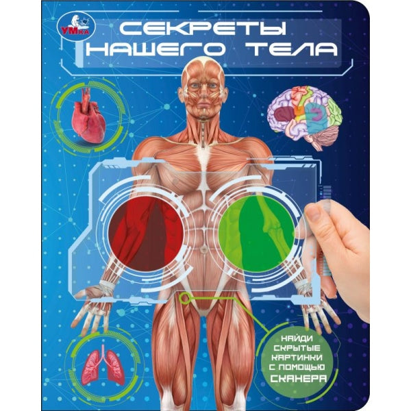 Секреты нашего тела. (книга с цвет. лупами) 160х200 10стр Умка в кор.80шт