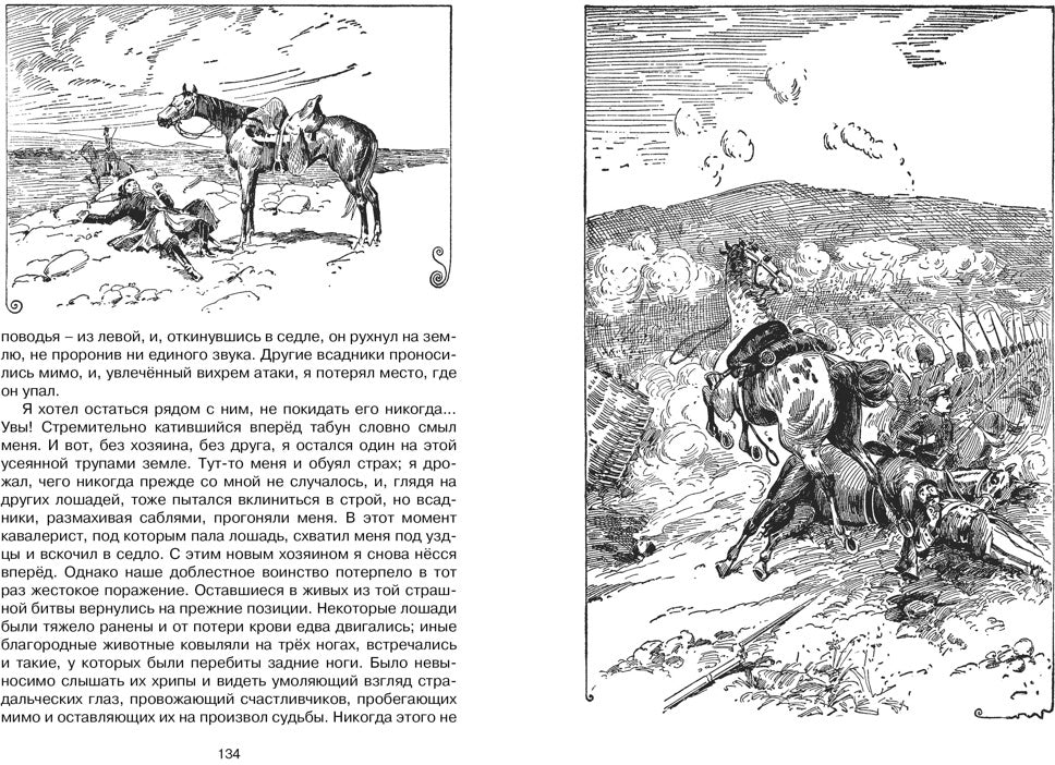 Чёрный Красавчик (нов.обл.)