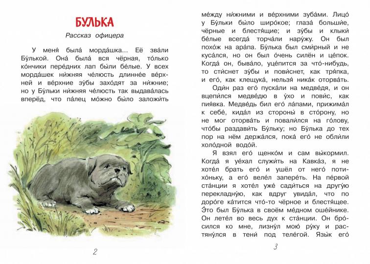 ЧС Акула. Рассказы