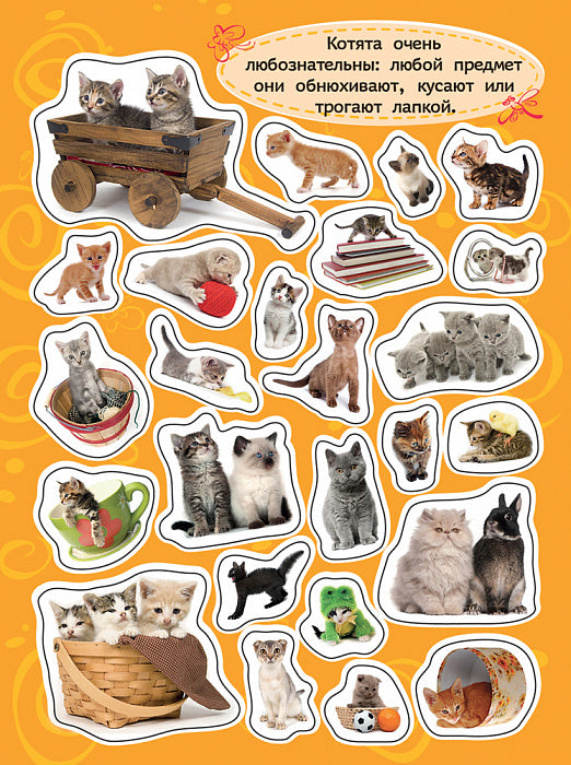 100 наклеек. Котята