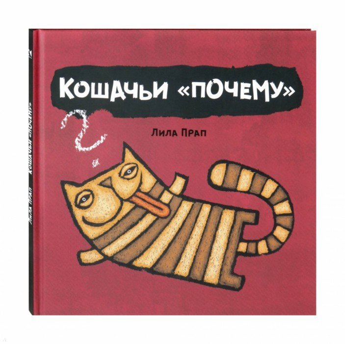 Кошачьи "почему"