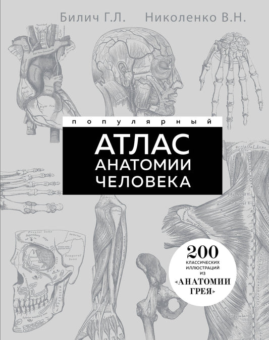 Популярный атлас анатомии человека. Анатомия Грея. 200 классических иллюстраций