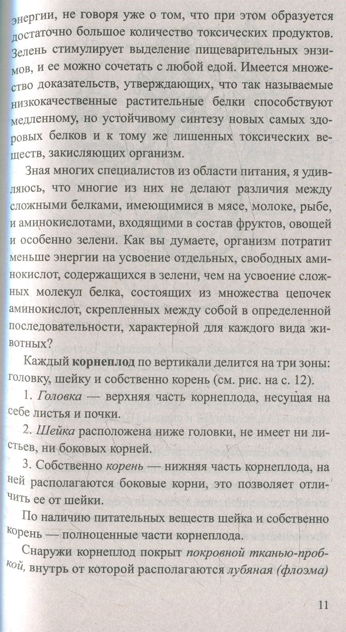 Редька. Мифы и реальность