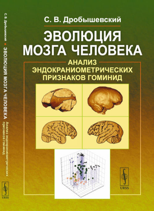 Эволюция мозга человека: Анализ эндокраниометрических признаков гоминид