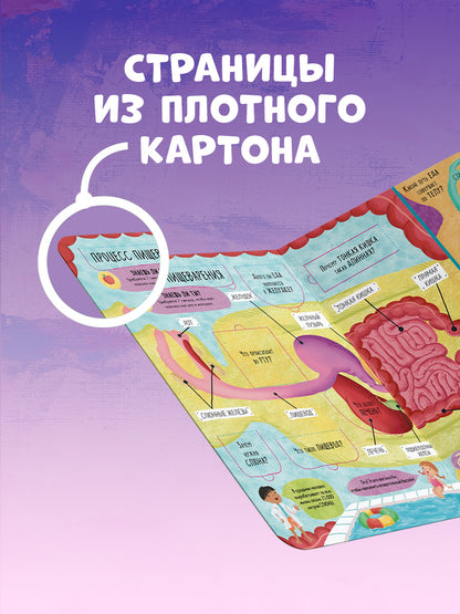 Книжка с окошками. Большая книга с окошками. Тело человека/Мосс Р.