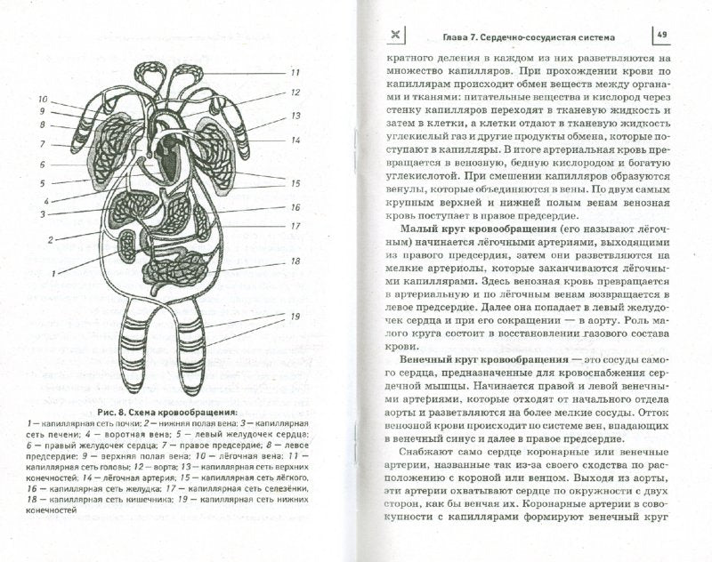 Дайджест "тяньши". Профилактика и лечение заболеваний