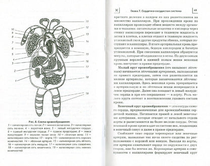 Дайджест "тяньши". Профилактика и лечение заболеваний