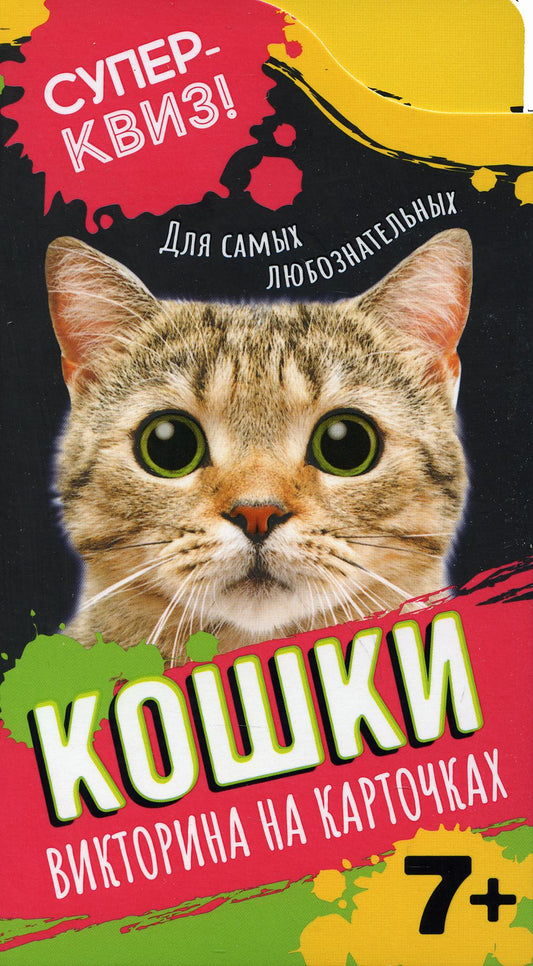 Кошки (викторина на карточках). Суперквиз!