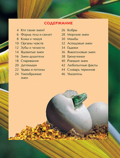 Змеи. Детская энциклопедия