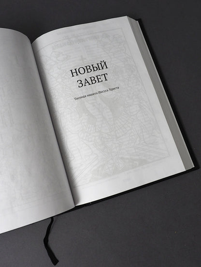 Библия. Книги Священного Писания Ветхого и Нового Завета. Серебряная серия