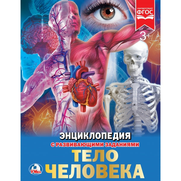 Тело человека. (Энциклопедия А4 с развивающими заданиями). Тв. переплет. 48стр. Умка в кор.15шт