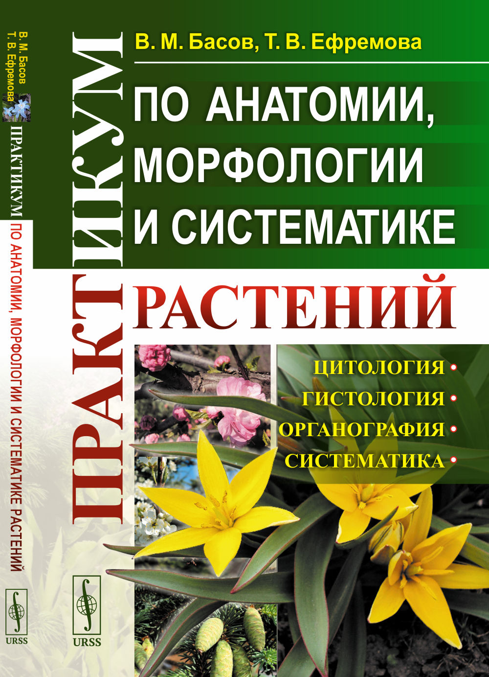 Практикум по анатомии, морфологии и систематике растений