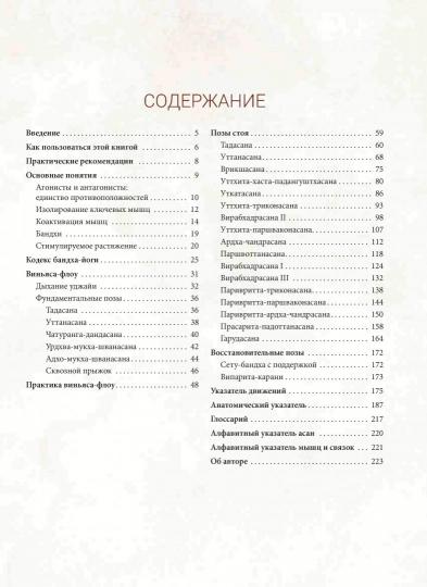 Анатомия виньяса-флоу и асан, выполняемых стоя