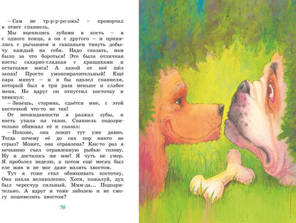 Медвежонок Тедди и другие сказки