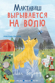 36.6АлК.ПМ.Мактавиш вырывается на волю (0+)