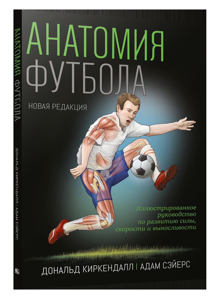 Анатомия футбола (новая редакция)