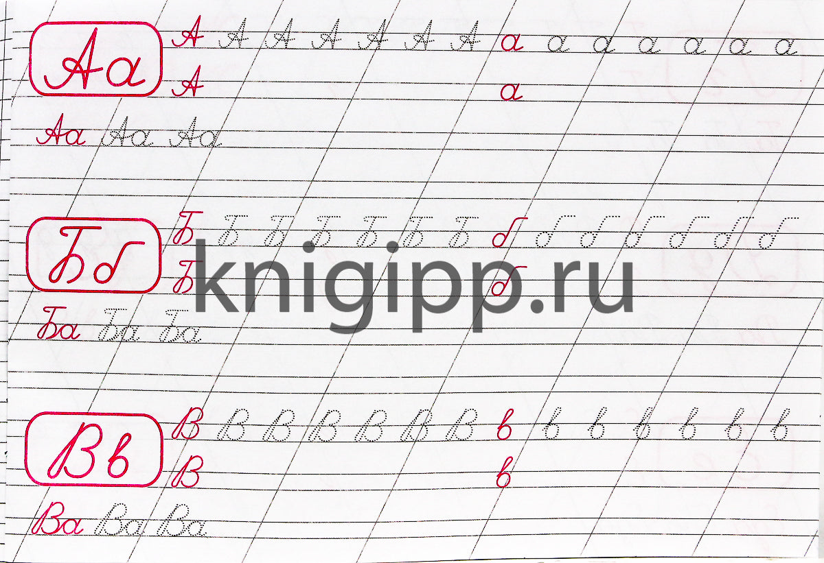 КАЛЛИГРАФИЧЕСКАЯ ПРОПИСЬ А5. альбомная. ПИШЕМ ЦИФРЫ, БУКВЫ, СЛОГИ