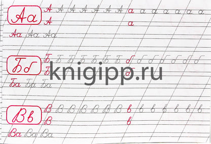 КАЛЛИГРАФИЧЕСКАЯ ПРОПИСЬ А5. альбомная. ПИШЕМ ЦИФРЫ, БУКВЫ, СЛОГИ