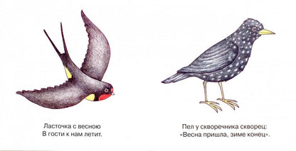 Мои первые слова. Птицы рядом с человеком (для детей от 1-3 лет)