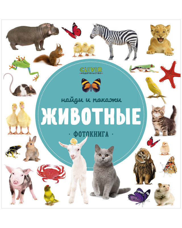 ГКМ. Найди и покажи. Фотокниги. Животные