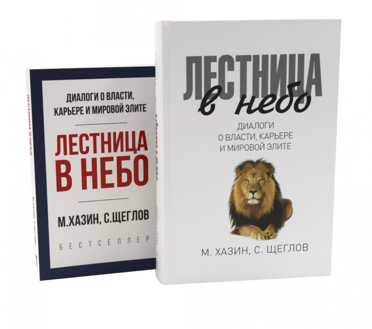 Лестница в небо. Диалоги о власти, карьере и мировой элите; Лестница в небо. Краткая версия (комплект из 2-х книг)