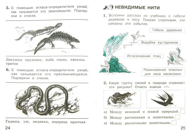 Окружающий мир. Тетрадь для тренировки и самопроверки: пособие для учащихся 2 кл. В 2 частях. Ч.1