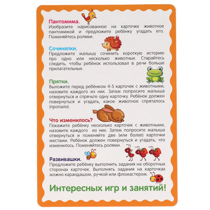 Развивающие карточки. В.А.Степанов. Кто где живет? (32 карточки) карт. 107х157 Умные игры в кор.32шт