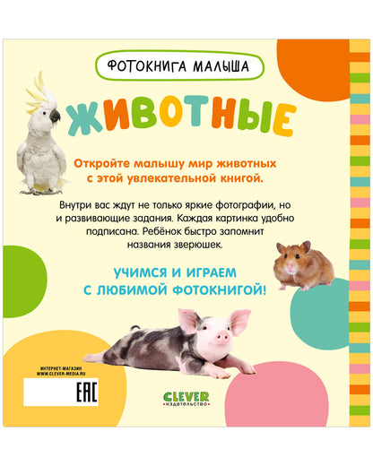 Фотокнига малыша. Животные/Нет а.