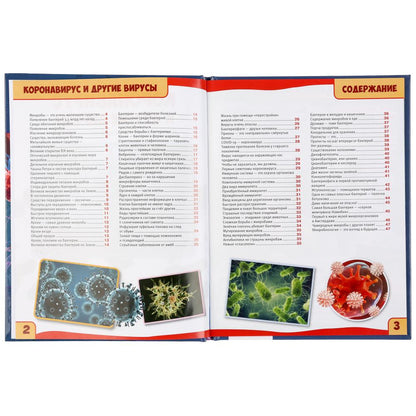 "УМКА". КОРОНАВИРУС И ДРУГИЕ ВИРУСЫ. 100 ФАКТОВ (ЭНЦИКЛОПЕДИЯ С РАЗВИВАЮЩ. ЗАДАНИЯМИ, А5) в кор.22шт