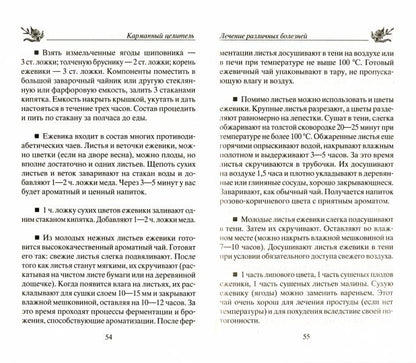 Ежевика. Мощный лекарь от ста недугов. Лечение онкологии, диабета, артрита, атеросклероза, варикоза, гастрита, заболеваний печени, ревматизма