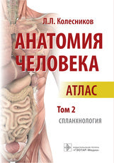 Анатомия человека : атлас : в 3 т. Т. 2. Спланхнология / автор-составитель Л. Л. Колесников. — М. : ГЭОТАР-Медиа, 2018. — 672 с. : ил.