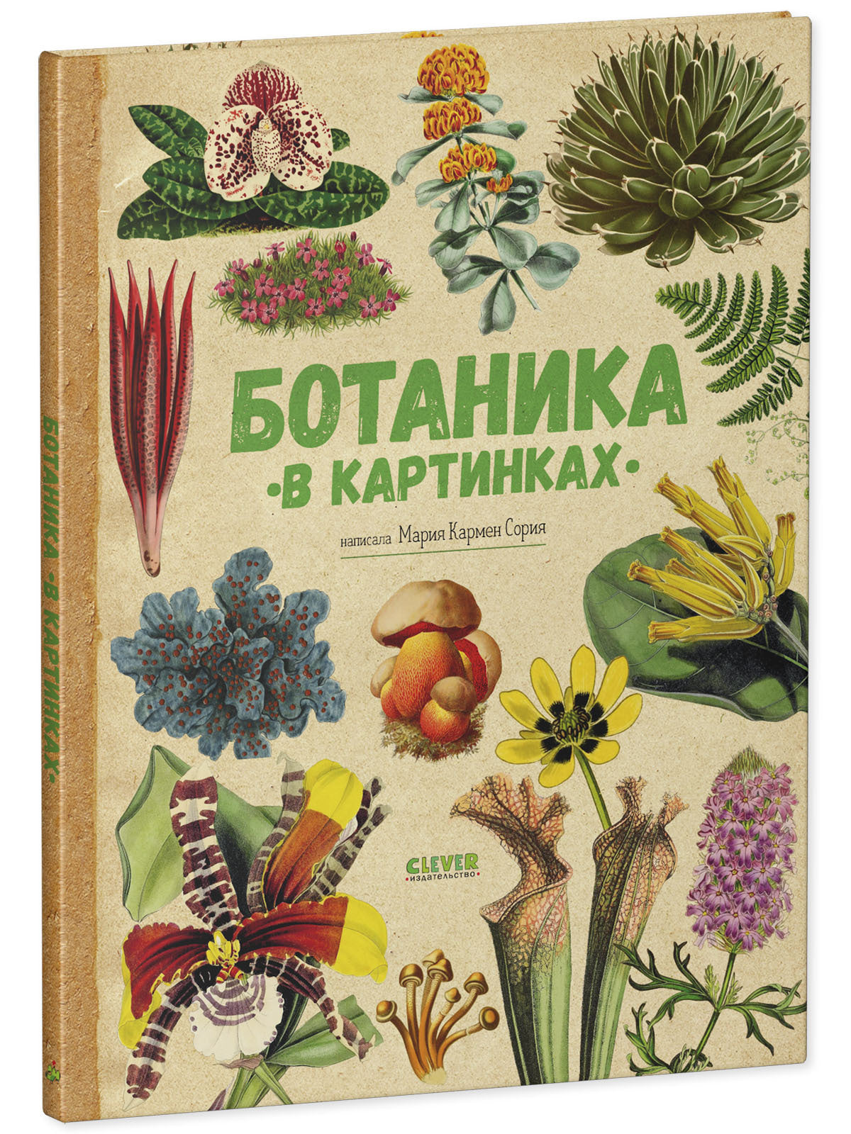 Удивительные энциклопедии. Ботаника в картинках/Сория К.