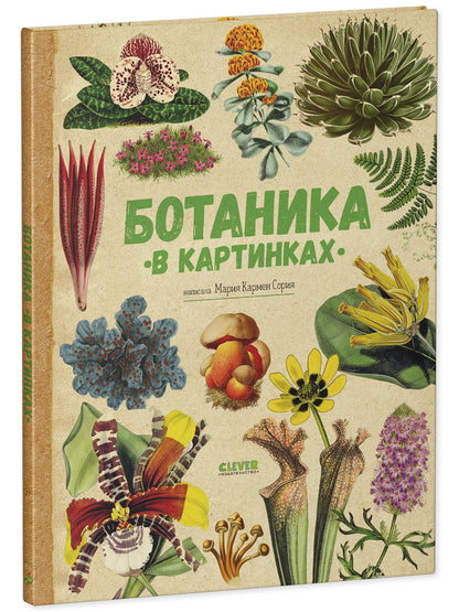 Удивительные энциклопедии. Ботаника в картинках/Сория К.
