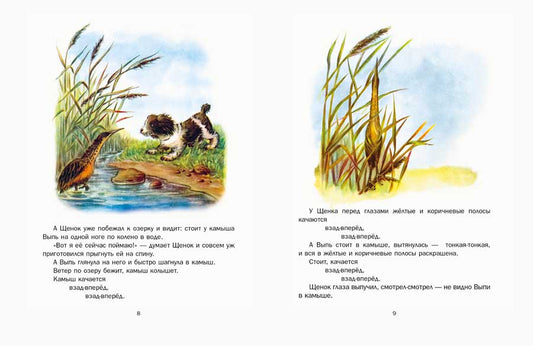 БИАНКИ В. Первая охота. илл. НЕЦКАЯ Е.