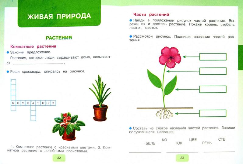 Матвеева 2 кл. Мир природы и человека. Рабочая тетрадь (для обучающихся с интеллектуальными нарушениями)